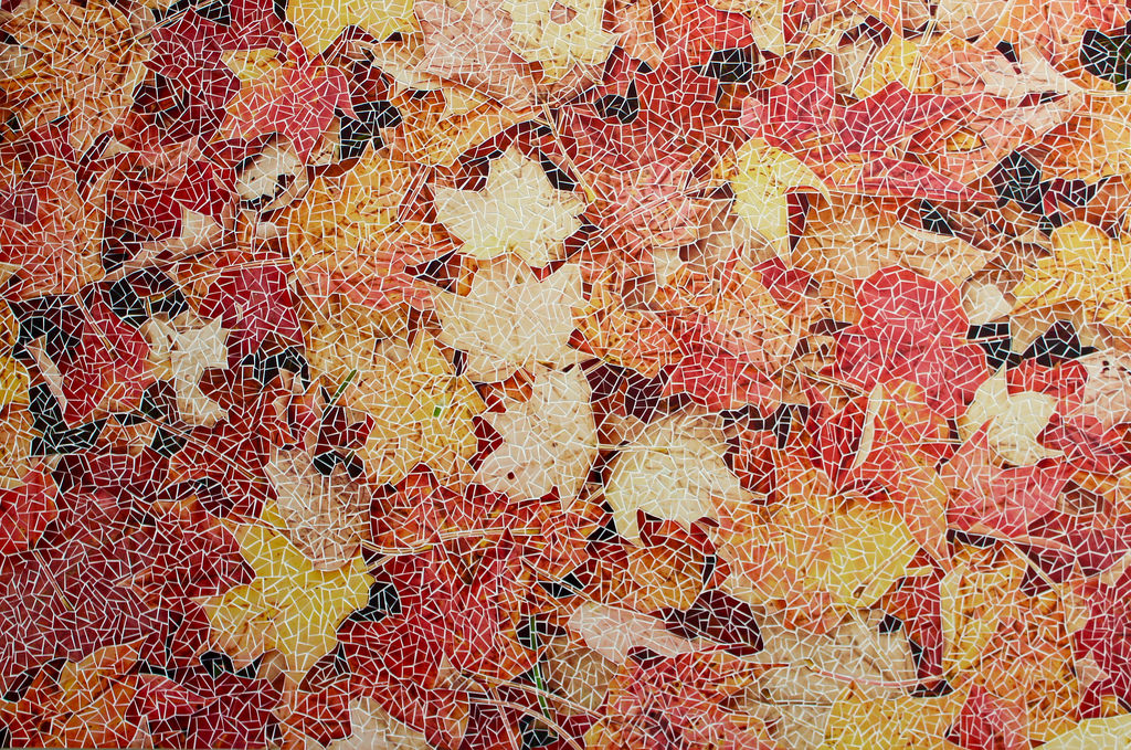 Leaves (On White)