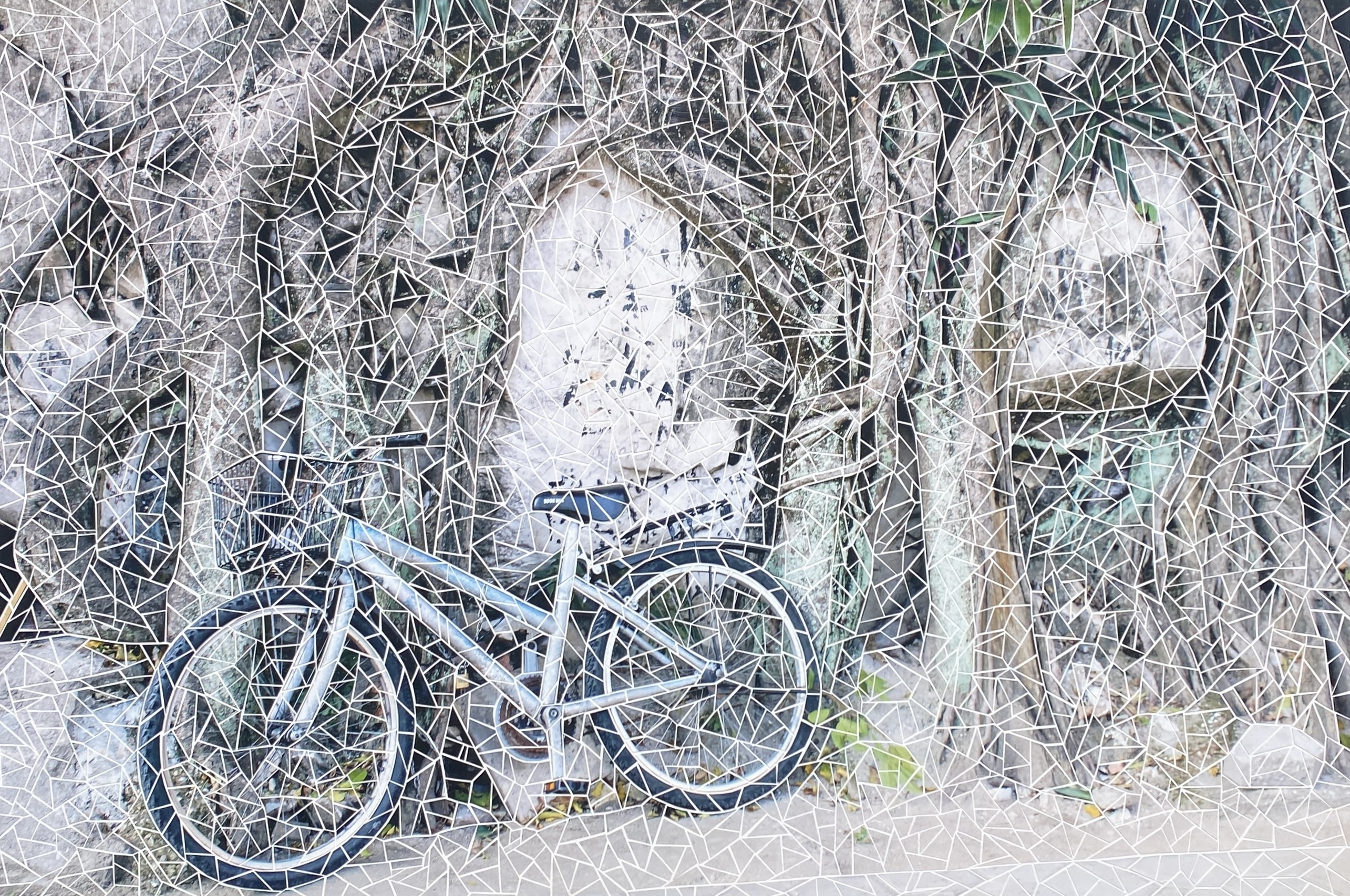 The Bicycle